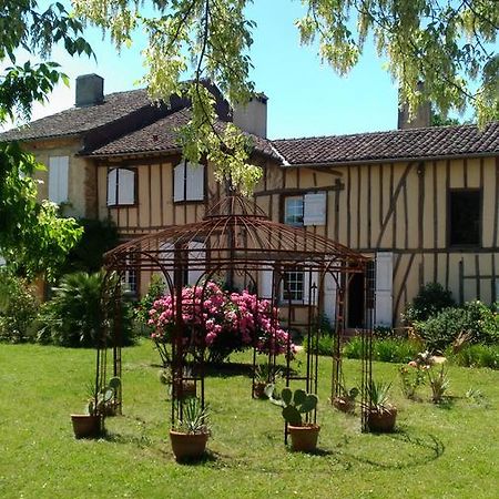 Domaine Du Have Sainte-Christie-d'Armagnac Exterior foto